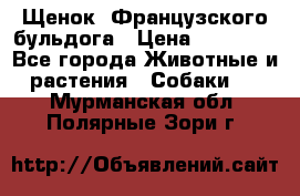 Щенок  Французского бульдога › Цена ­ 35 000 - Все города Животные и растения » Собаки   . Мурманская обл.,Полярные Зори г.